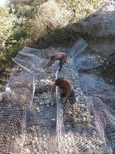   -  Gabbianata per messa in sicurezza sponde del Ticino a Trecate (NO) #1  